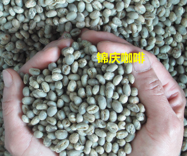 <b>阿拉比卡生咖啡豆圆豆1磅</b>